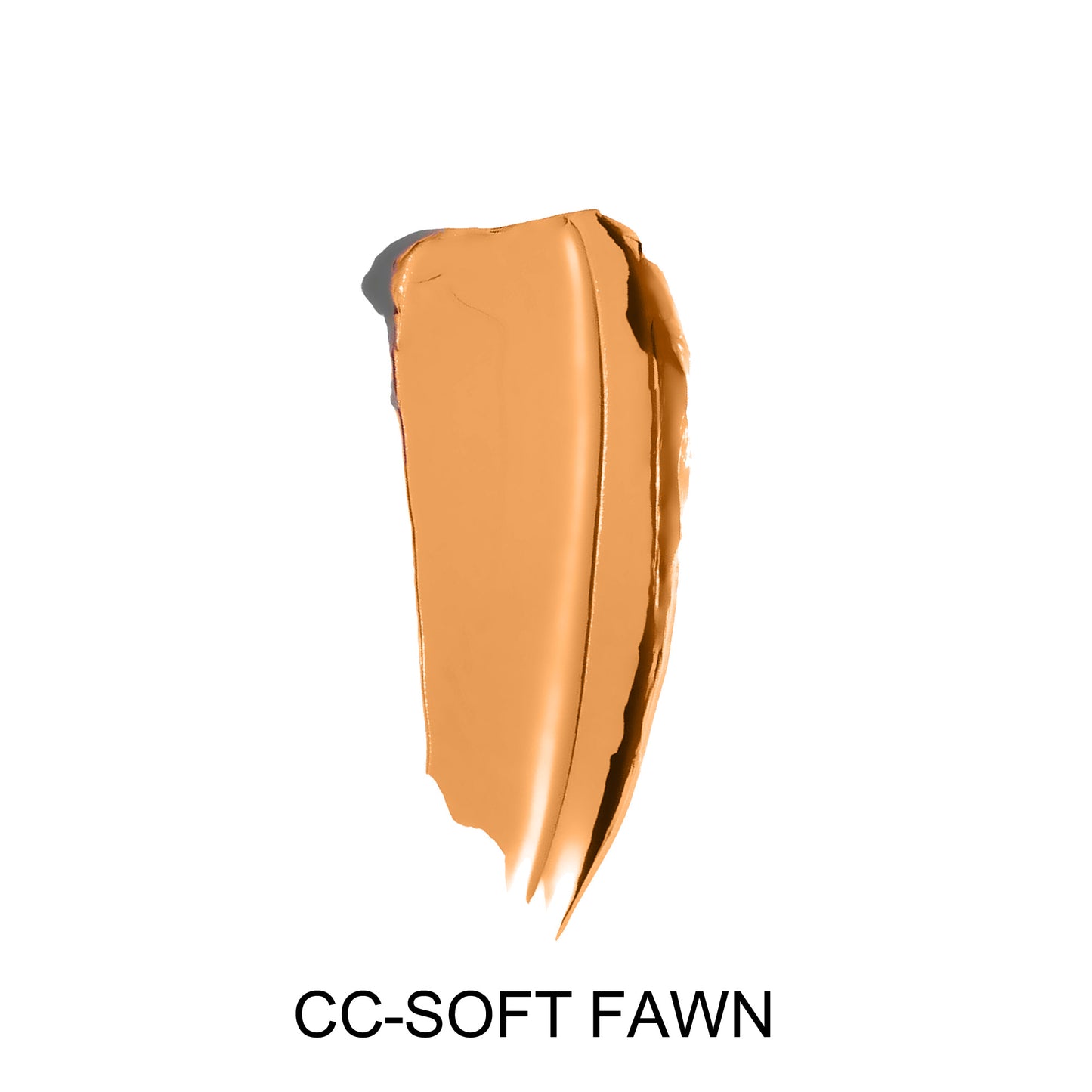 Evanesce Soft Matte Cream Concealer ALL SHADES